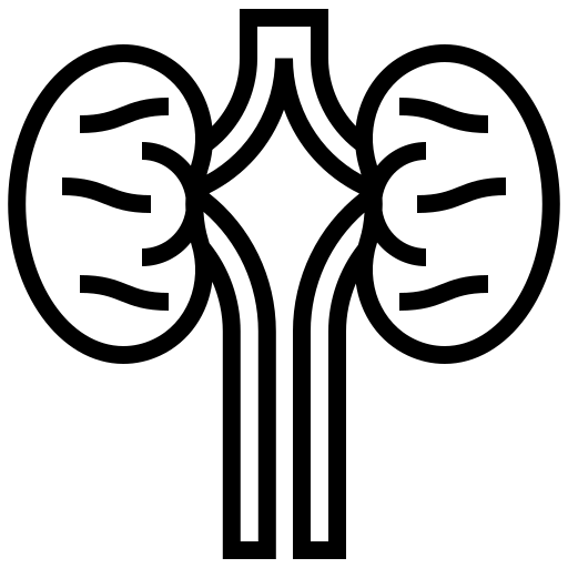 Nefrologist